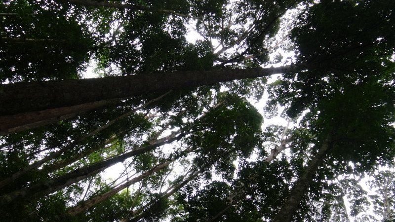 0951 DSC00126